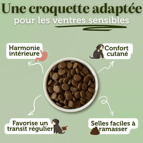 Croquettes sans céréales au Porc - Chiens moyennes races