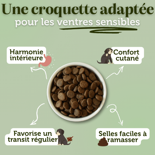 Croquettes sans céréales au Porc - Chiens moyennes races
