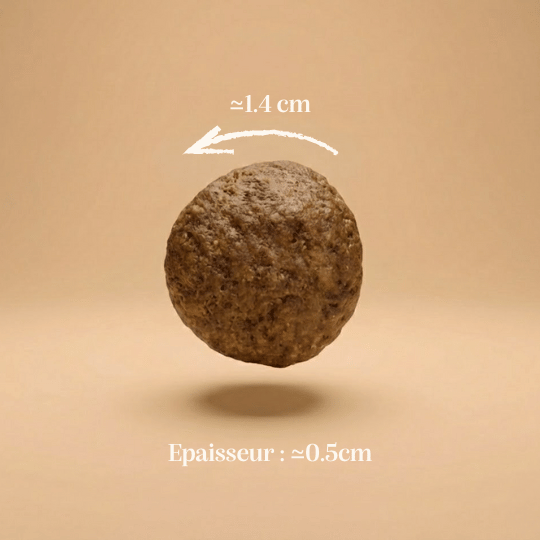 Croquettes sans céréales poulet taille chien moyen