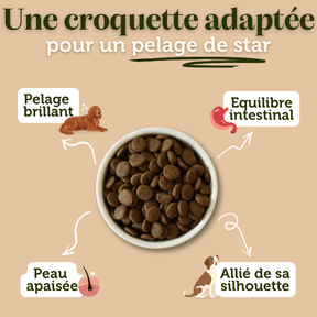 Croquettes sans céréales au Saumon - Chiens moyennes races - Dans Ma Gamelle