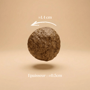 Croquettes sans céréales saumon taille chien moyen