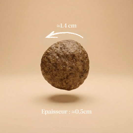 Croquettes sans céréales saumon taille chien moyen