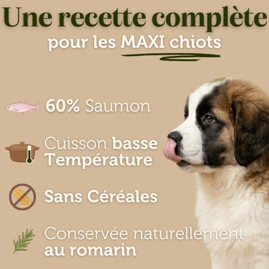 Croquettes sans céréales au Saumon - Chiots (Grandes races) - Dans Ma Gamelle