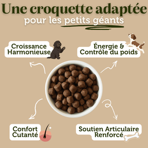 Croquettes sans céréales au Saumon - Chiots (Grandes races) - Dans Ma Gamelle