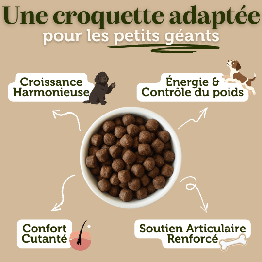Croquettes sans céréales au Saumon - Chiots (Grandes races) - Dans Ma Gamelle