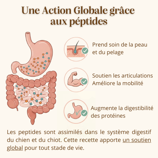 Croquettes  chiot chien adulte hypoallergénique protéines hydrolysés - Dans Ma Gamelle