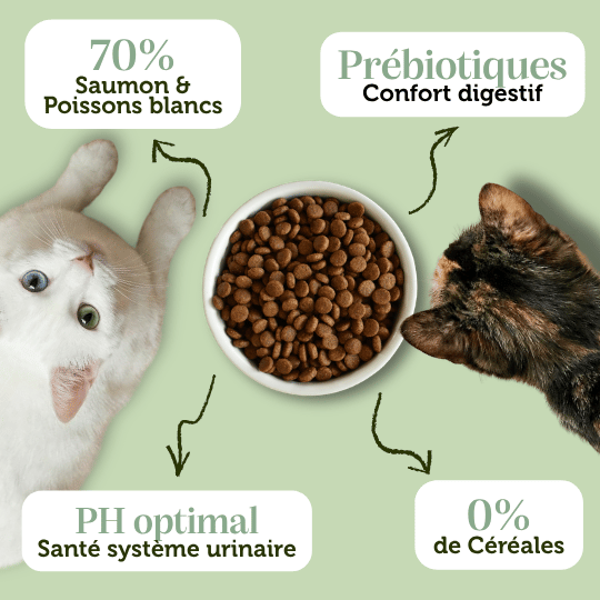 Croquettes sans céréales au Saumon et Colin - Chats adultes et séniors - DansMaGamelle
