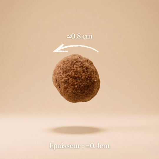 Croquettes sans céréales au Saumon - Chiens petites races - DansMaGamelle
