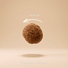 Croquettes sans céréales au Saumon - Chiens petites races