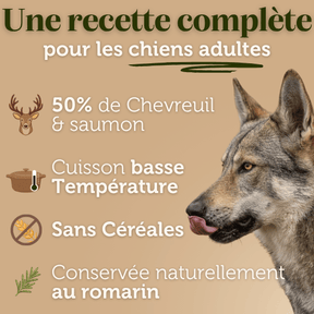 Croquettes Venaison sans céréales pour chien adulte - Dans Ma Gamelle