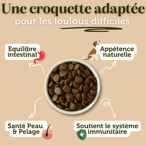 Croquettes Venaison sans céréales pour chien adulte - Dans Ma Gamelle