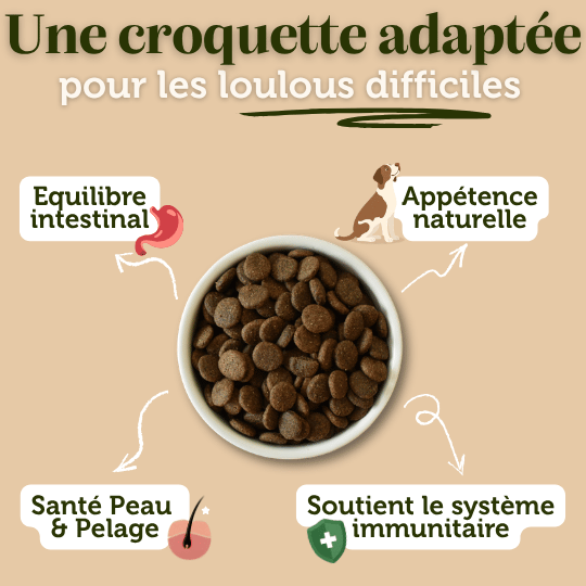 Croquettes Venaison sans céréales pour chien adulte - Dans Ma Gamelle