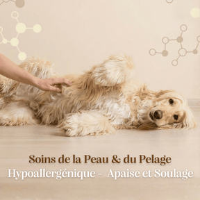 Croquettes sans céréales vétérinaire soin peau et pelage