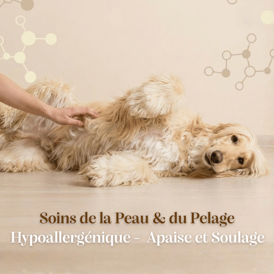 Croquettes sans céréales vétérinaire soin peau et pelage