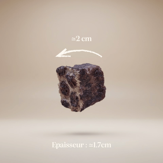 Cubes poumons de bœuf - Chiens et chats