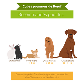 Cubes poumons de bœuf - Chiens et chats