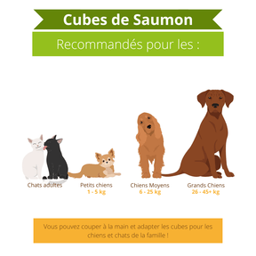 Cubes de Saumon - Chiens et Chats