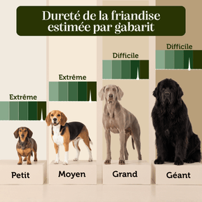 Bois de cerf Chien friandise naturelle mastication dureté