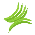 Les Haricots Verts