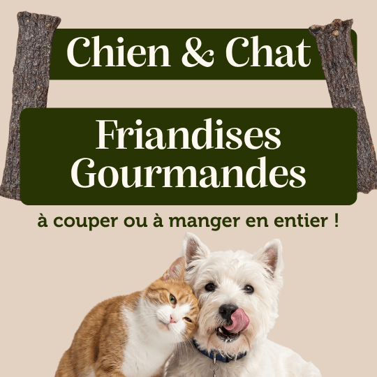 lamelles de faisan pour chien et chat friandise de récompense appétante