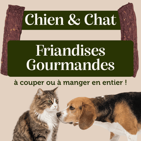 Friandises Lamelles de Kangourou pour chien et chat - Dans Ma Gamelle