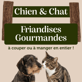 Lamelles de venaison pour chien et chat friandise appétante 