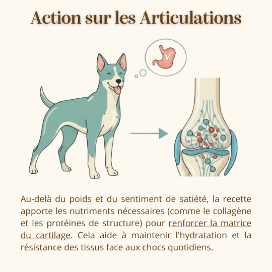 Croquettes contrôle du poids et articulation chien adulte sans céréales peptide hydrolyse