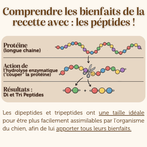 Croquettes vétérinire peptide chien adulte