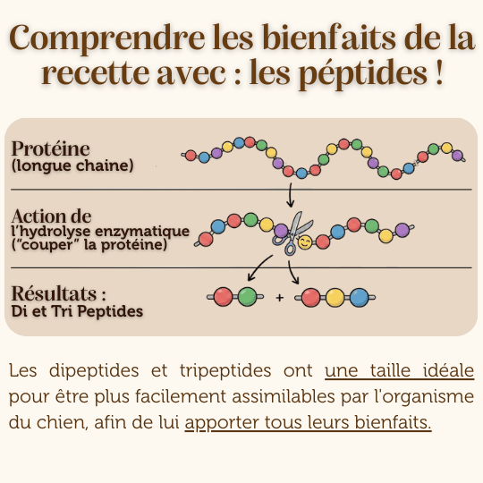 Croquettes vétérinire peptide chien adulte