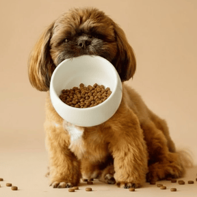 Croquettes sans céréales au Poulet - Chiens petites races