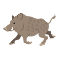 Le Sanglier