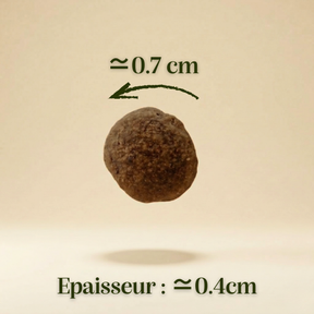 Croquettes sans céréales Dinde et Poulet - Chatons et Femelles gestantes