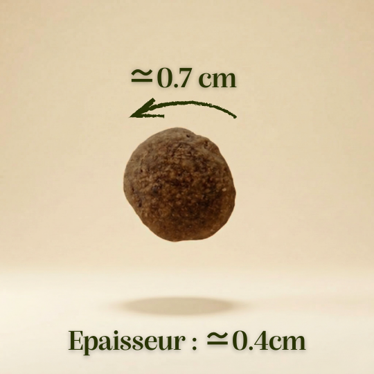 Croquettes sans céréales Dinde et Poulet - Chatons et Femelles gestantes