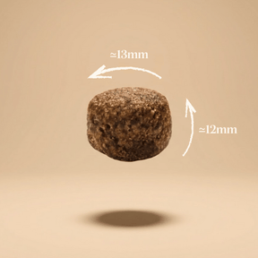 Croquettes-chiot-grande-taille-saumon-sans-céréales