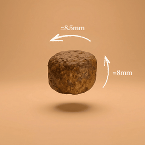 Croquettes sans céréales saumon et colin pour chiot de taille moyenne