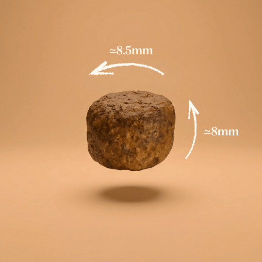 Croquettes sans céréales saumon et colin pour chiot de taille moyenne