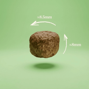 Croquettes sans céréales au Poulet & Saumon - Chiots (Moyennes races)